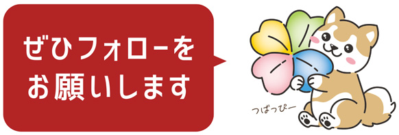 ぜひフォローをお願いします